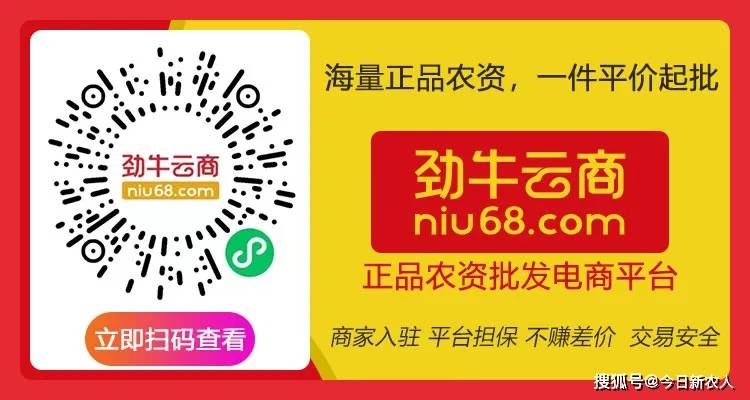 2024澳门天天开好彩大全正版优势评测,再次成为行业内的焦点