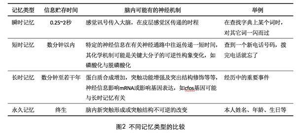 新澳正版资料免费大全,影响知识产业的良性发展