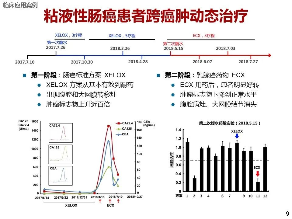 一肖一码一必中一肖,能够准确预测未来的结果