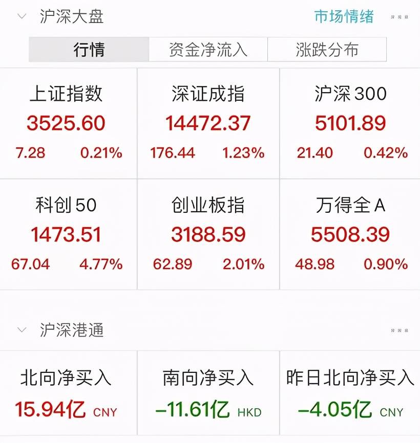 2024今晚新澳开奖号码第295期,确保大部分资金确实用于社会福利事业