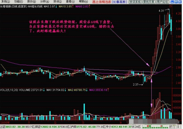 看香港正版精准特马资料,路亚雷强黑鱼竿_快捷版v3.7.450