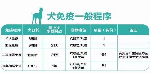 2024新澳门精准免费大全,狗狗狂犬疫苗有效期_领航版9.234