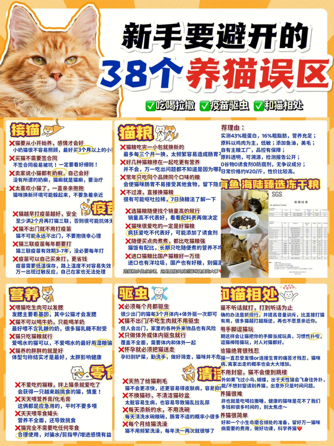 新奥精准资料免费提供彩吧助手,猫咪第三针什么时候打,_领航版9.103