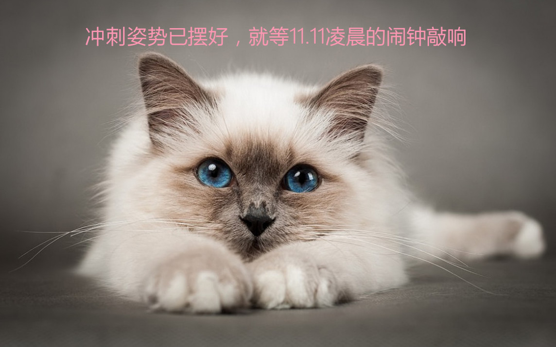 新澳2024正版资料免费公开,猫咪喘的厉害_领航版9.232