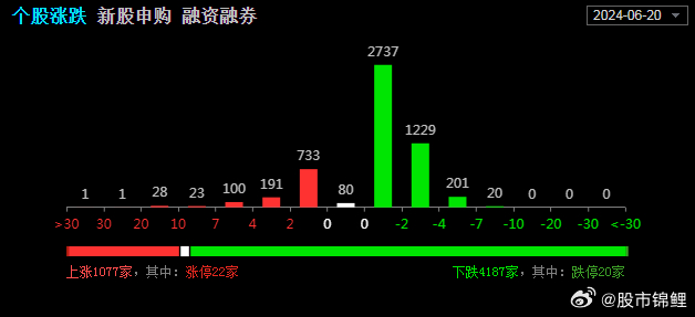 一肖中持一肖100%,实地验证数据计划_kit84.226