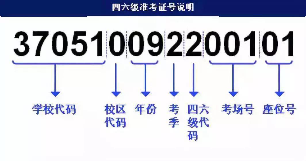 澳门正版蓝月亮精选大全,实地策略计划验证_体验版95.423