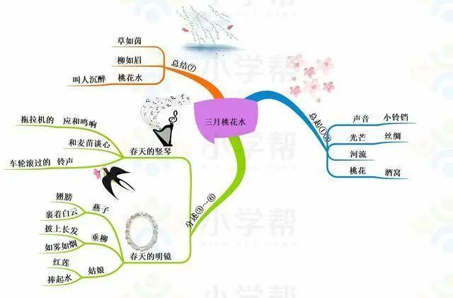 琥珀最新课文深度探索