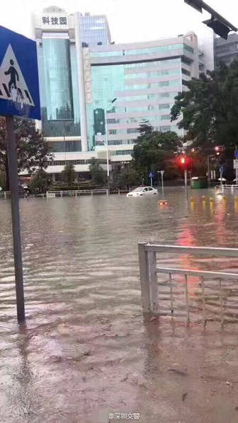 深圳暴雨最新动态，影响及应对策略