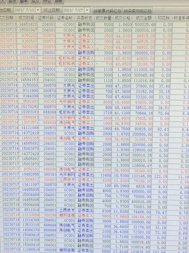 新奥开奖结果历史记录,实地验证执行数据_运动版66.315