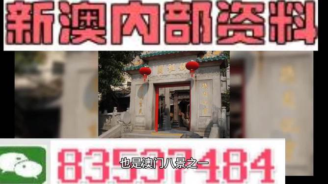 新澳门免费资料挂牌大全,动态说明分析_X49.215