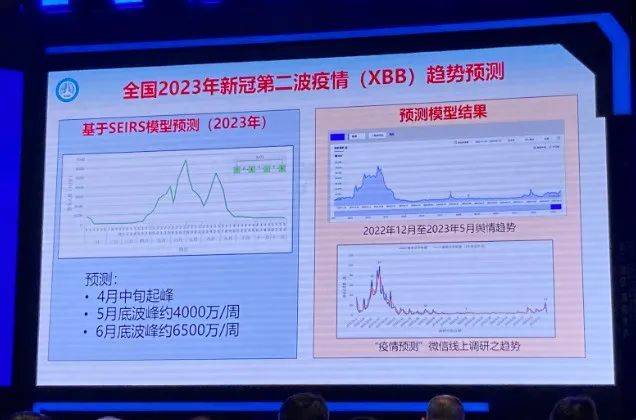 2024年11月新冠高峰,实地验证分析数据_The77.593