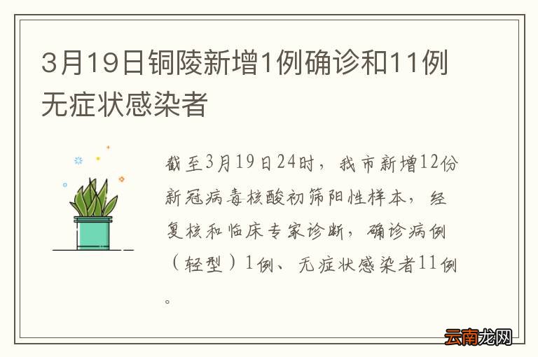 铜陵最新疫情动态报告，最新动态分析汇总